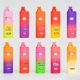 Whole Melts Phase 3 V8 2G Dual Flavor Disposable